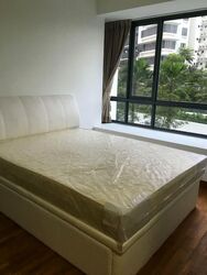 The Palette (D18), Condominium #557608471